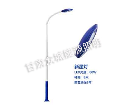 比如爆款市电路灯